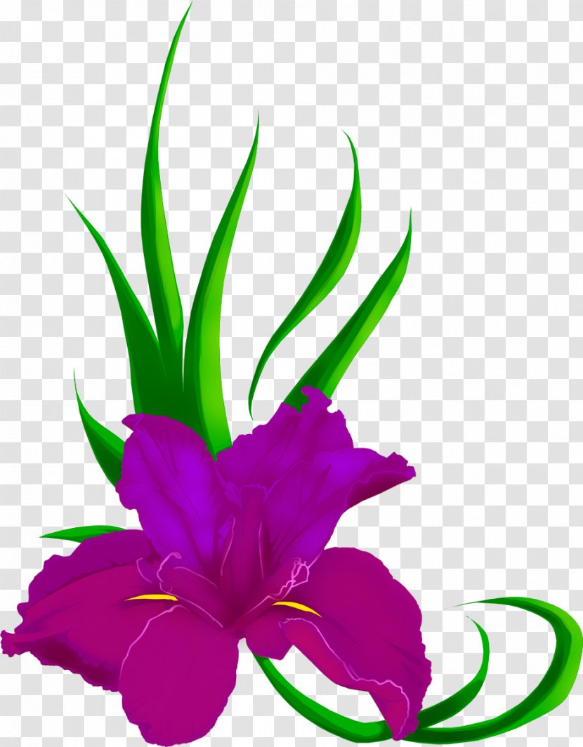 Flower Iris Tattoo BA Clip Art - Aquarium Decor Transparent PNG