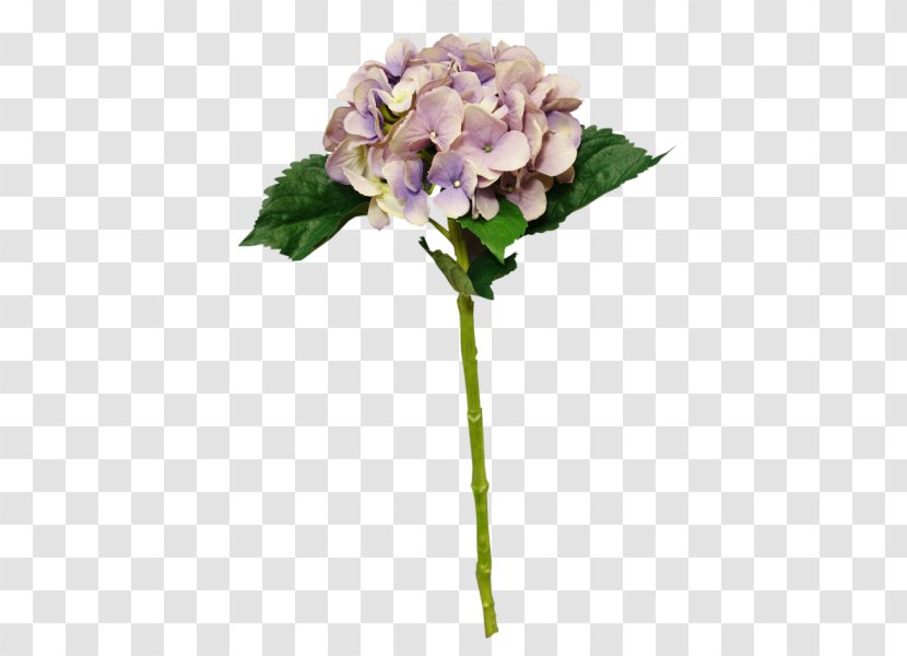 Hydrangea Cut Flowers Plant Stem - Purple - Bouquet Transparent PNG