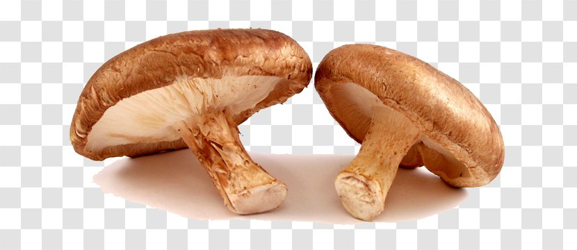 Shiitake Organic Food Common Mushroom Edible - Agaricaceae Transparent PNG