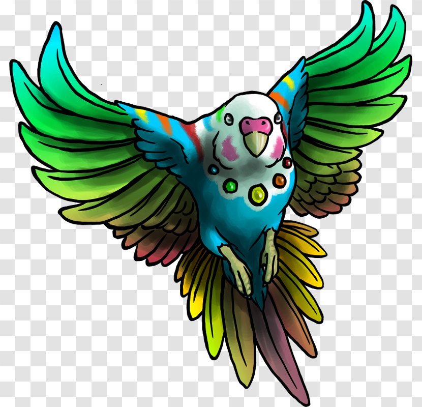 Macaw Owl Feather Parakeet Beak - Perico Transparent PNG