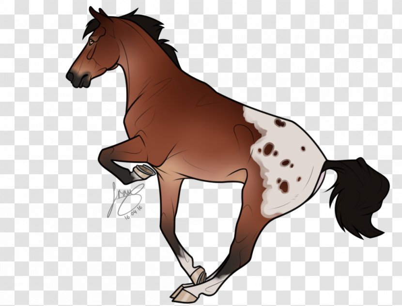 Mane Foal Stallion Pony Mustang - Mammal Transparent PNG