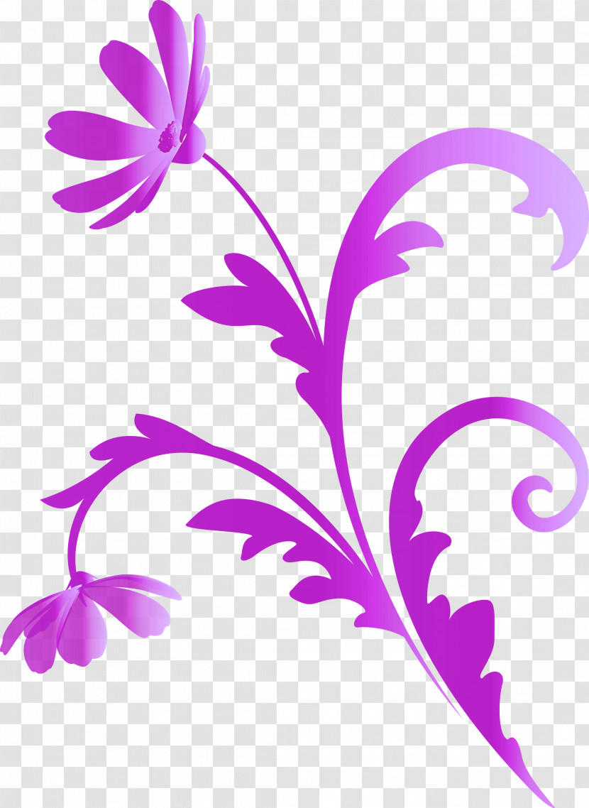 Flower Frame Floral Frame Transparent PNG