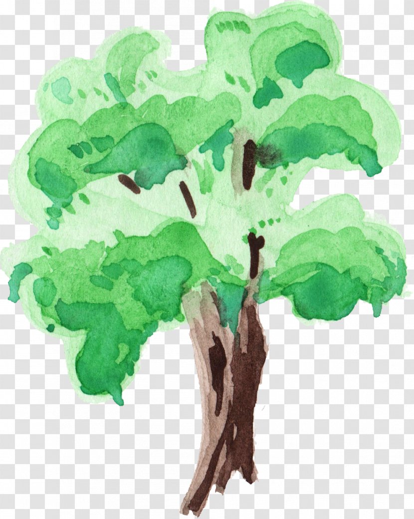 Tree Watercolor Painting Branch Transparent PNG