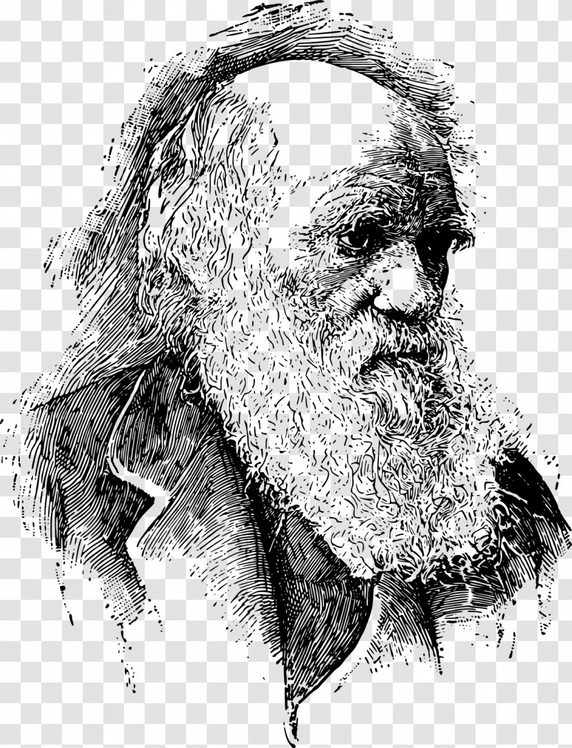 On The Origin Of Species Voyage Beagle Evolutionary Medicine Darwinism - Black And White - Charles Darwin Transparent PNG