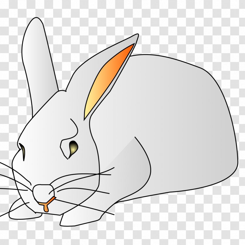 Cat Hare Domestic Rabbit Whiskers Pet - Head Transparent PNG