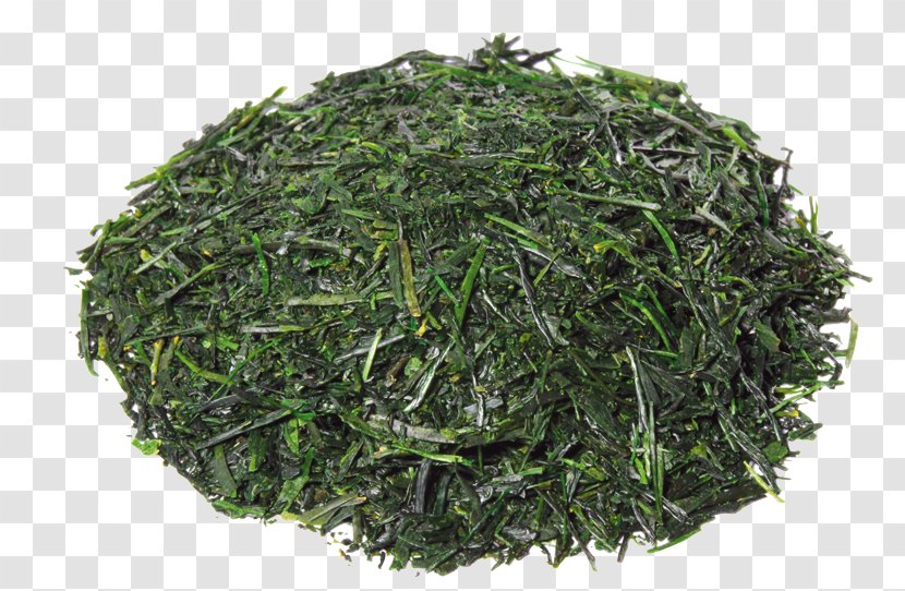 White Tea Gyokuro Green Parsley Transparent PNG