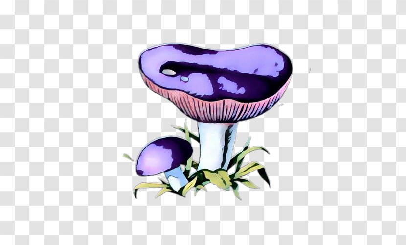 Clip Art Illustration Purple Flower - Violet Transparent PNG