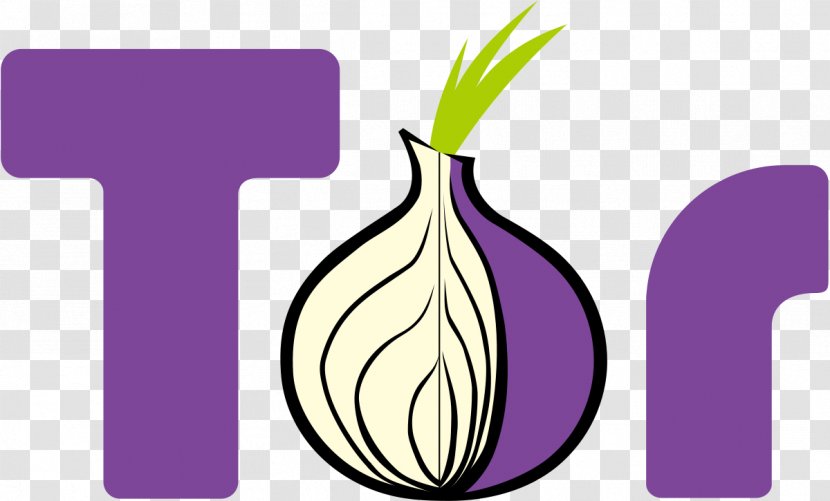 Tor Onion Routing .onion Router Anonymity - Violet - Pi Transparent PNG