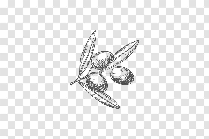 Drawing Pencil The Arts Sketch - Fruit - Popeye Olive Transparent PNG