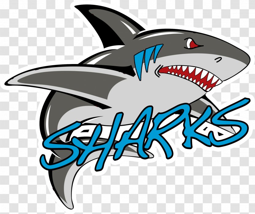 Hara Arena Dayton Sharks Continental Indoor Football League Team - Cartilaginous Fish Transparent PNG