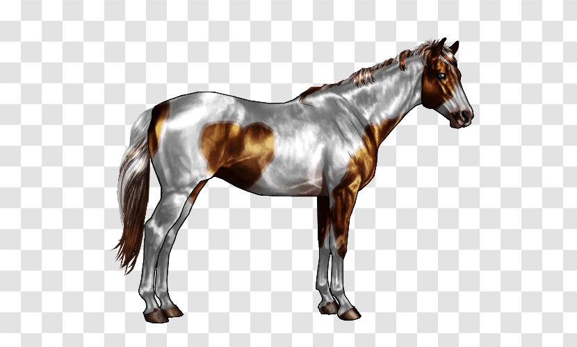 American Paint Horse Quarter Spotted Saddle Markings Roan - Pale Horses Transparent PNG