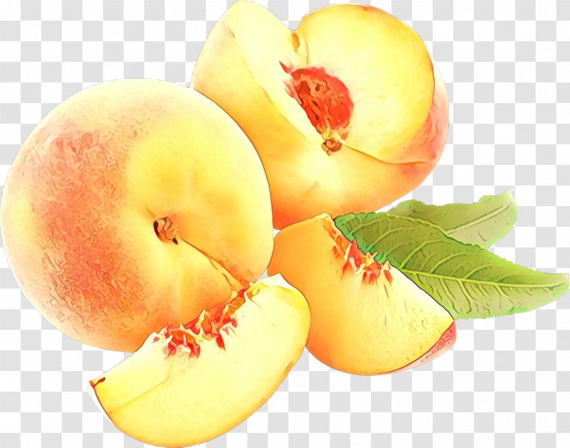 Peach Flower - Internet - Nectarines Transparent PNG