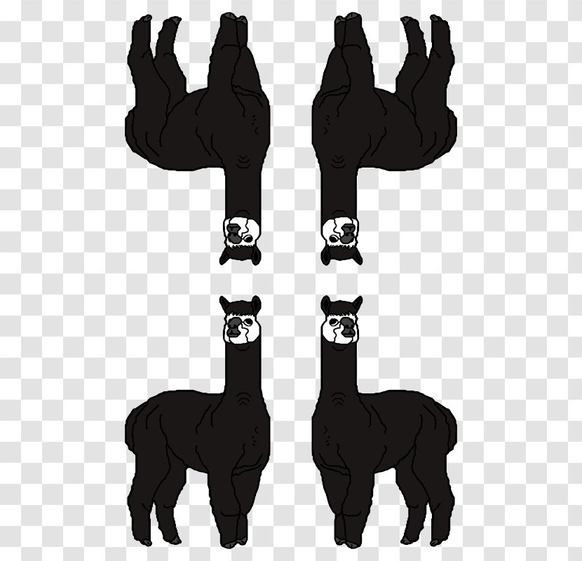 Horse Alpaca T-shirt Clip Art Textile - Top Transparent PNG