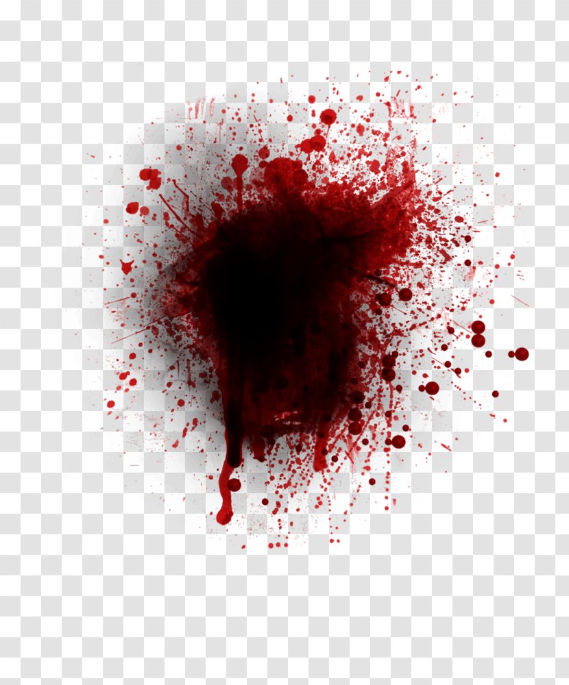 Blood Splatter Film Clip Art - Documentation - Image Transparent PNG