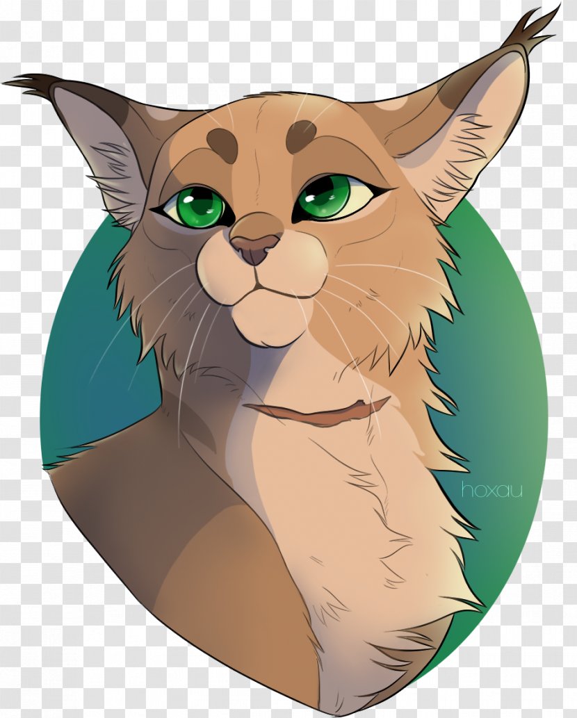 Cats Of The Clans Warriors Drawing Image - Kitten - Cat Transparent PNG