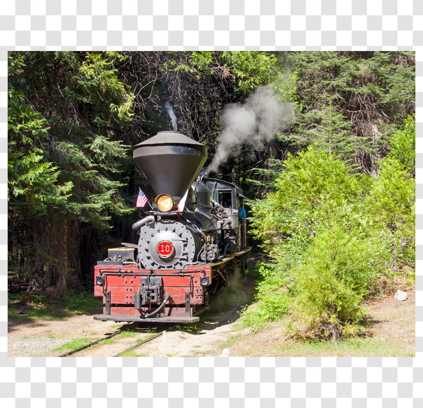Train Locomotive Cumbres And Toltec Scenic Railroad Santa Fe 3751 Tree - Forest Transparent PNG