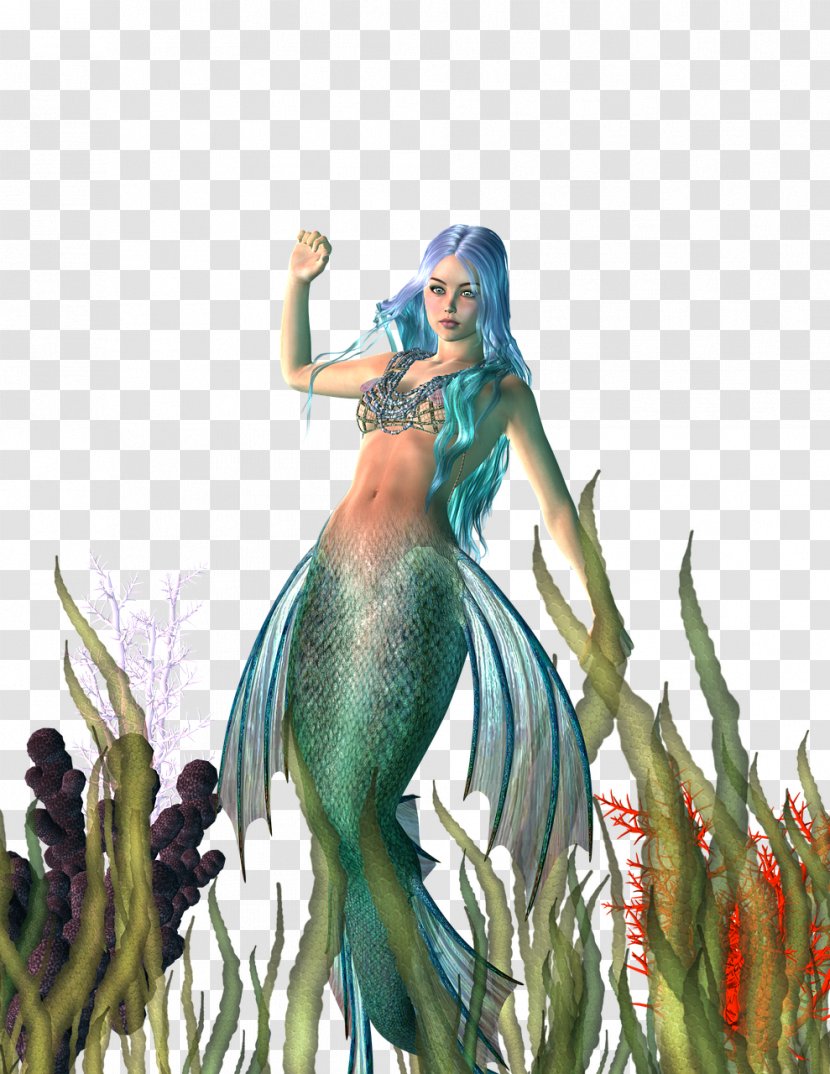 Mermaid Fairy Tale Siren Legendary Creature Transparent PNG