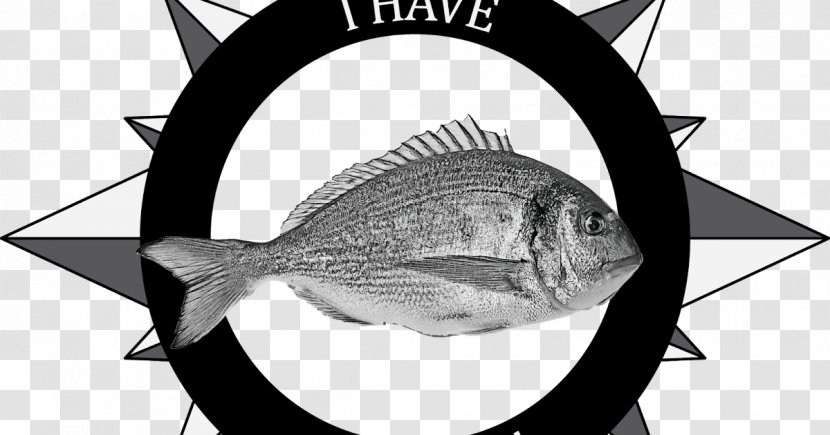 Eye White Fish Font - Artwork Transparent PNG