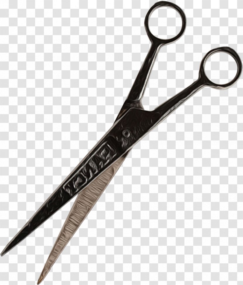 Hair Cartoon - Shear - Metal Office Supplies Transparent PNG