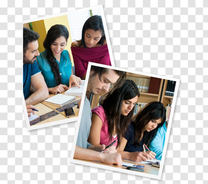 Education Photographic Paper Learning International Student - Course Transparent PNG