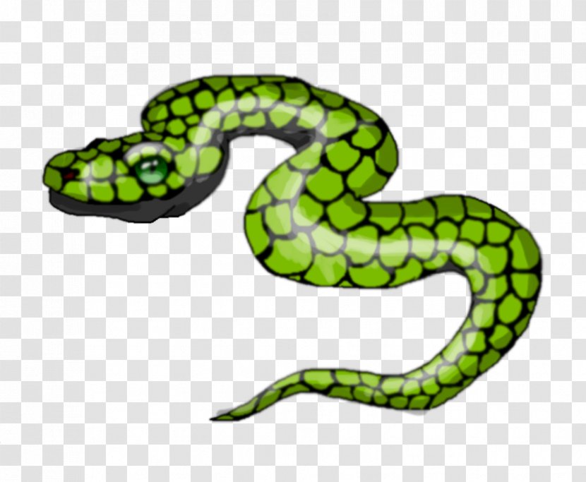 Vipers Kingsnakes White Snake Drawing - Digital Art Transparent PNG