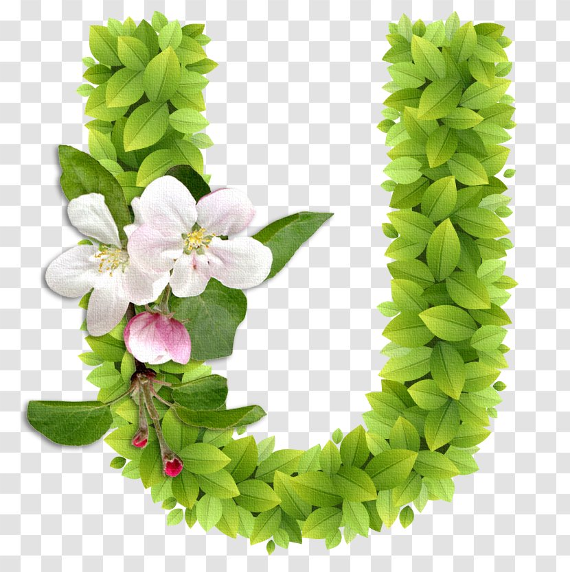 Letter Alphabet Clip Art Flower Letras Transparent PNG