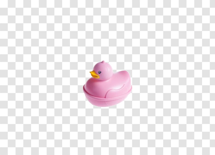 Water Bird Goose Cygnini Duck - Ducks Geese And Swans - Open Xin Bao Seal Lid Pink Soap Box Transparent PNG