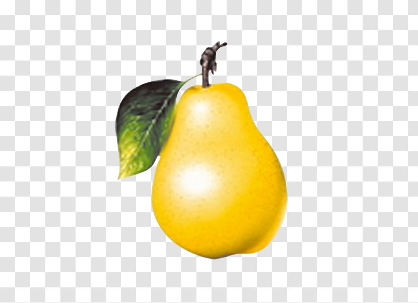 Juice Fruit Vegetable Pear Transparent PNG