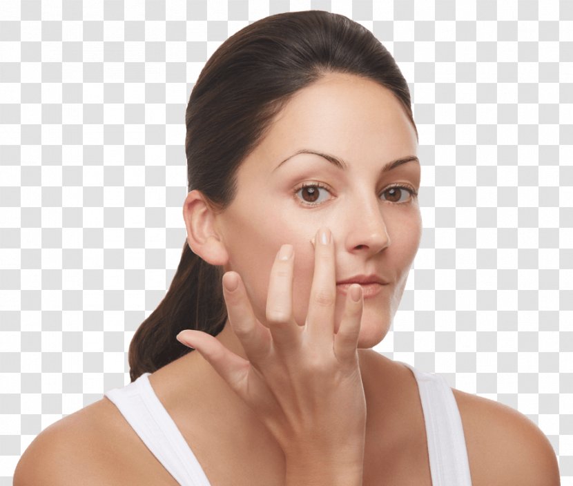 Cheek Chin Eyebrow Forehead Jaw - Lip - Nose Transparent PNG