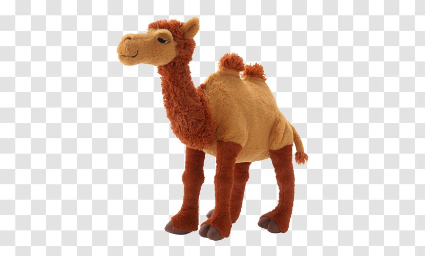 Bactrian Camel Dromedary Amazon.com Stuffed Toy IKEA - Plush Transparent PNG