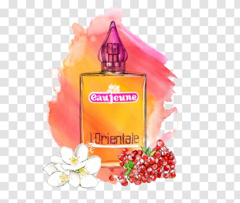 Perfume Eau Jeune Fashion Bottle Illustration - Fruit Transparent PNG