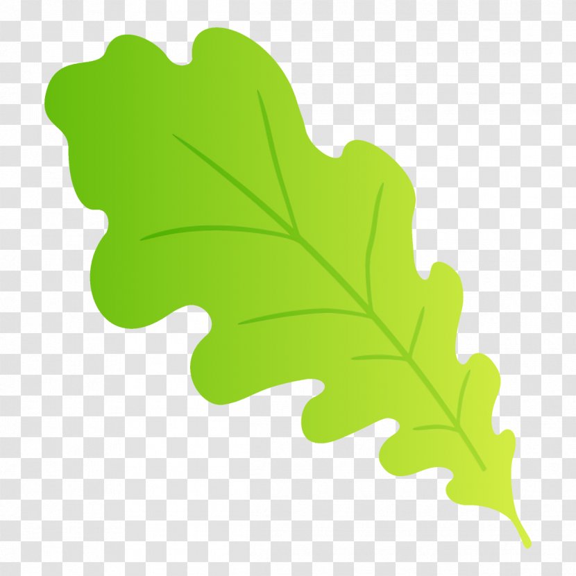 Plane - Plant - Flowering Transparent PNG