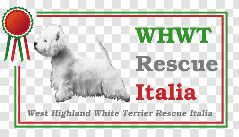 West Highland White Terrier Dog Breed Parson Russell Jack Puppy - Carnivoran Transparent PNG