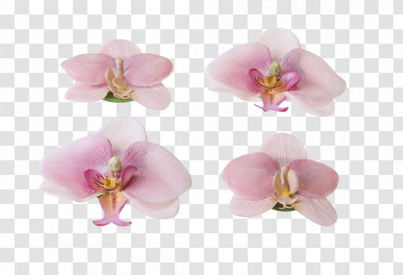 Flower Orchids Pond Garden Plant - Floating Transparent PNG