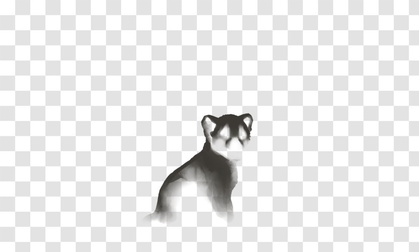 Whiskers Siberian Husky Puppy Dog Breed Cat - Paw Transparent PNG
