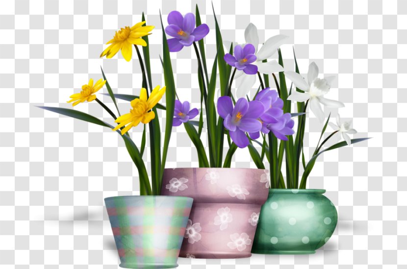 Desktop Wallpaper Clip Art - Crocus - Plant Transparent PNG