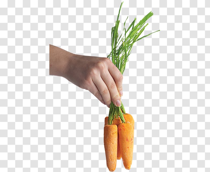 Baby Carrot Lush Food Mirepoix - Local - Bunch Of Carrots Transparent PNG
