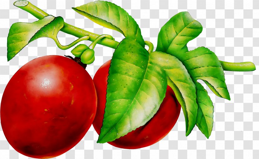 Fruit Clip Art Avocado Grape - Berries - Superfood Transparent PNG