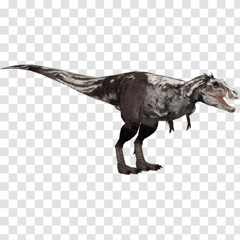 Zoo Tycoon 2 Tyrannosaurus Wikia Velociraptor - Animal Transparent PNG