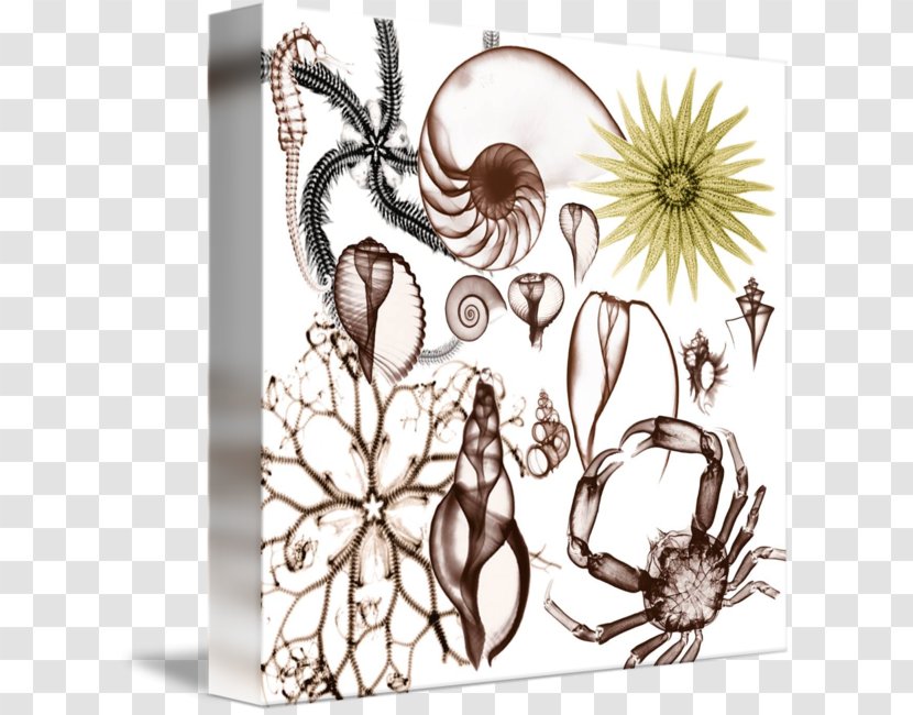 Gallery Wrap Art Drawing - Collage - Artwork Transparent PNG