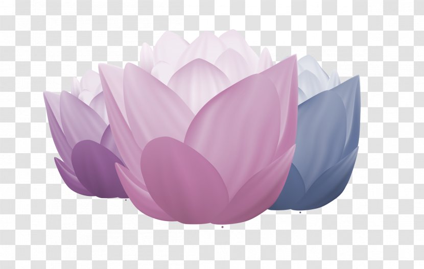 Download Computer File - Nelumbo Nucifera - Lotus Transparent PNG