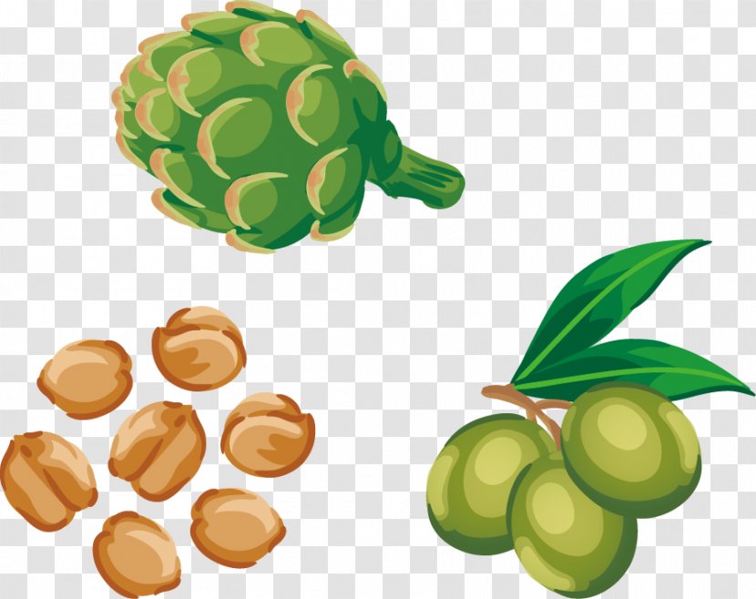 Auglis Download Euclidean Vector - Commodity - Hand-painted Vegetable Olives Transparent PNG