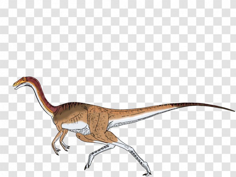 ARK: Survival Evolved Gallimimus Velociraptor Tyrannosaurus Dilophosaurus - Jurassic Park Transparent PNG