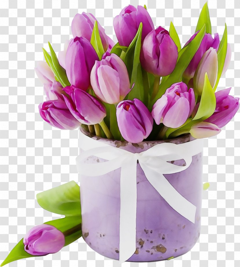 Purple Watercolor Flower - Box - Crocus Lily Family Transparent PNG