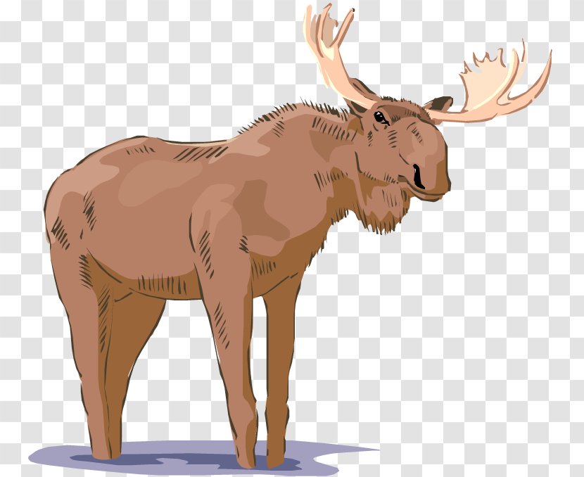 Moose Free Content Royalty-free Clip Art - Birthday Cliparts Transparent PNG