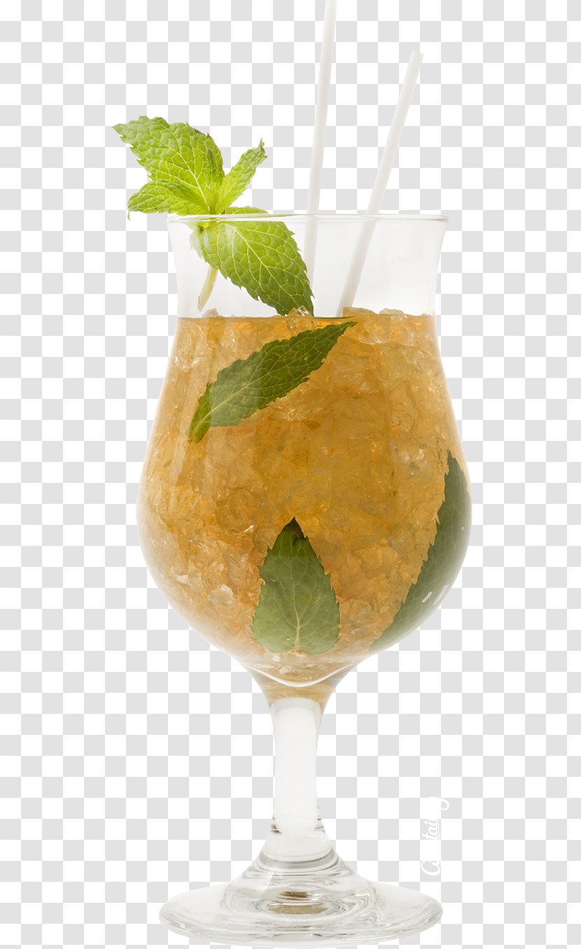 Mint Julep Cocktail Garnish Harvey Wallbanger Mai Tai - Sex On The Beach Transparent PNG