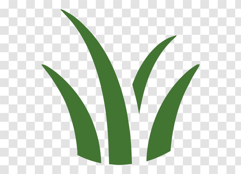 Leaf Logo Grasses Plant Stem Font - Yard Work Transparent PNG