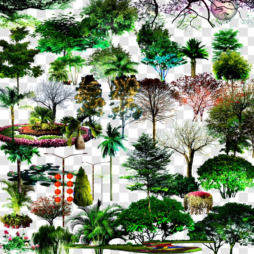 Tree - Organism - Flowers And Trees Set Transparent PNG