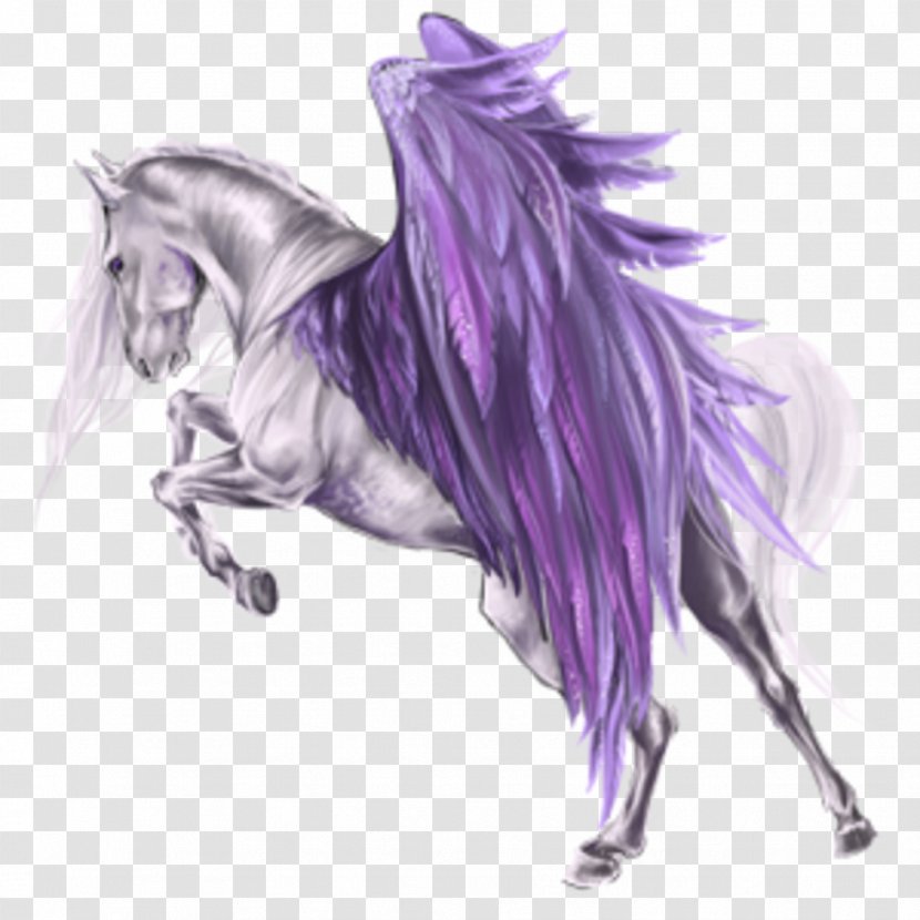 Howrse Pegasus Arabian Horse Hanoverian - Mane Transparent PNG