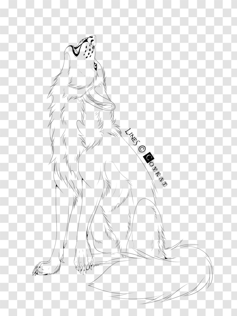 Whiskers Line Art Drawing Artist Sketch - Wildlife - Canidae Transparent PNG
